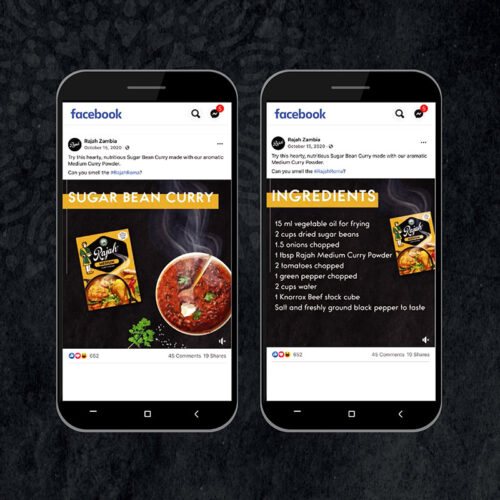 Website-Portfolio-JPEGs_2021_Rajah-Digital-02